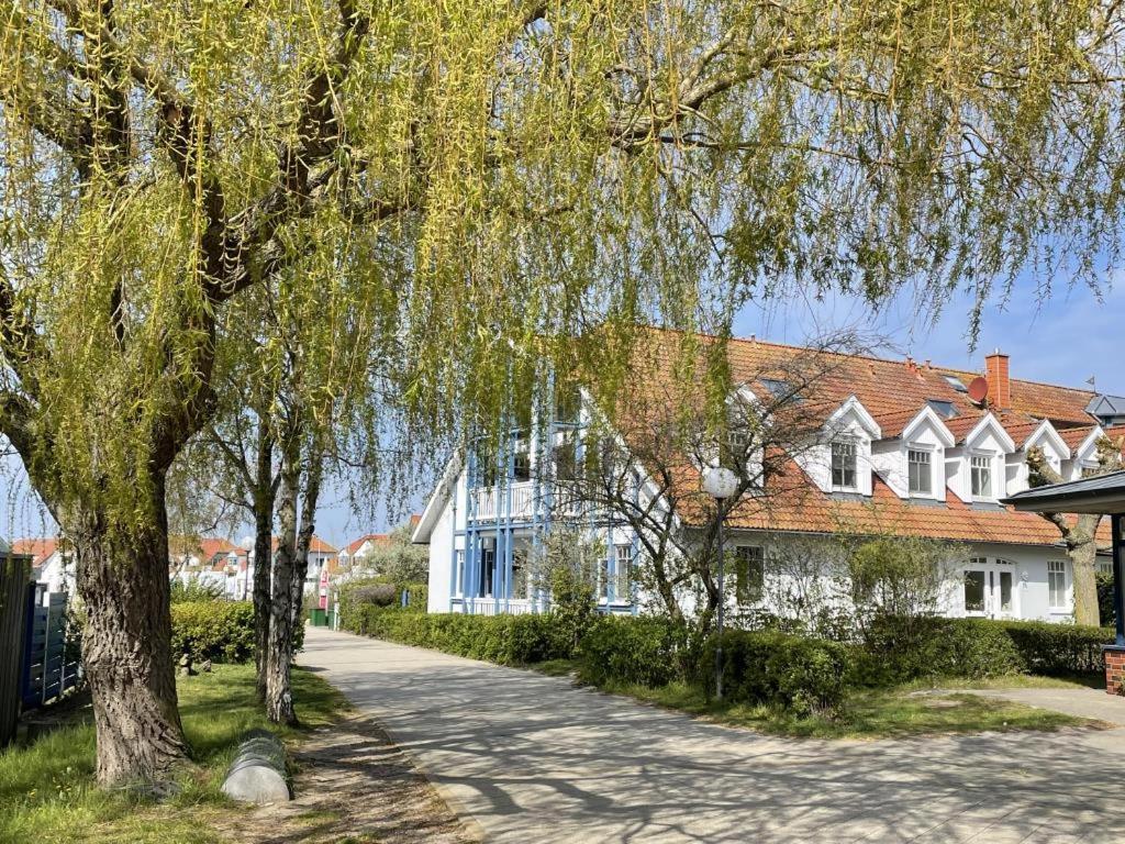 Fewo 27 Strandnahe Ferienwohnung Marlyn Rerik Exterior photo